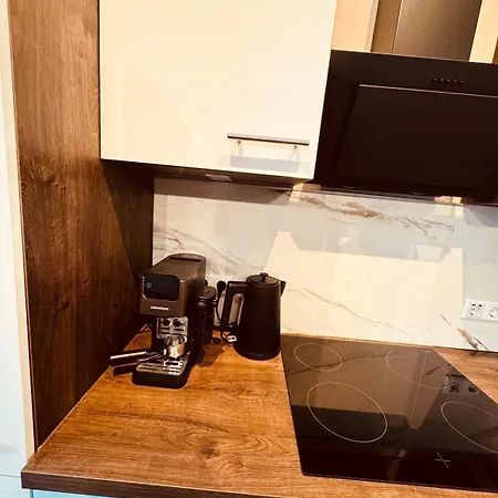 Apartment Elbsuite 3 Raum, 70qm, Altstadt Und Neustadt 10 Minuten Zu Fuss Dresden